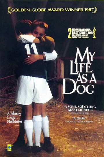 Моя собачья жизнь фильм (1985)