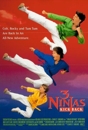 Три ниндзя наносят ответный удар фильм (1994)