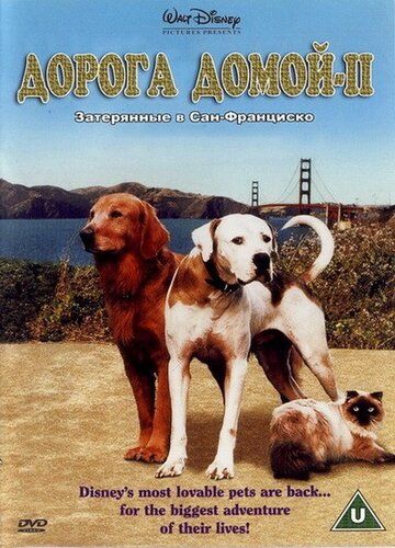 Дорога домой 2: Затерянные в Сан-Франциско фильм (1996)