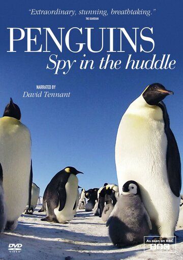 Пингвины: Шпион в толпе (2013)