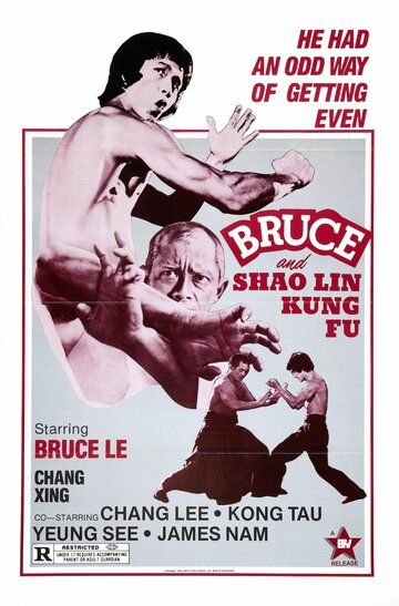Брюс и кунг-фу монастыря Шао-Линь фильм (1977)