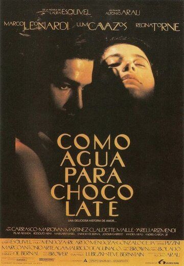 Как вода для шоколада фильм (1991)