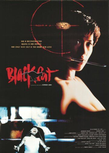 Черная кошка фильм (1991)