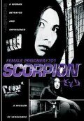 Заключенная №701: Скорпион фильм (1972)