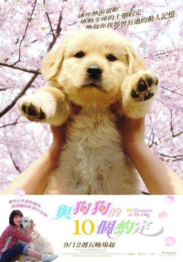10 обещаний моей собаке фильм (2008)