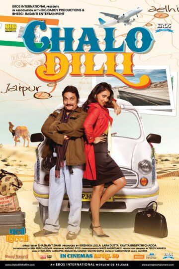 Поездка в Дели фильм (2011)
