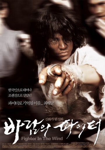 Воин ветра фильм (2004)