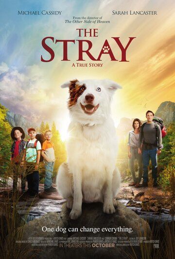 The Stray фильм (2017)