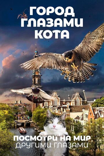 Город глазами кота фильм (2018)