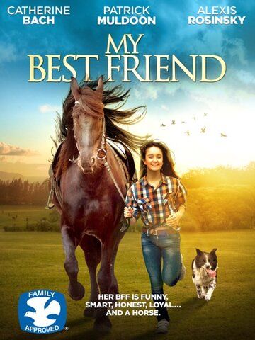 Мой лучший друг фильм (2016)