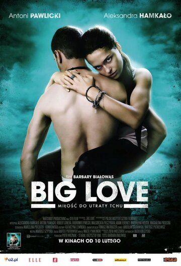 Большая любовь фильм (2012)