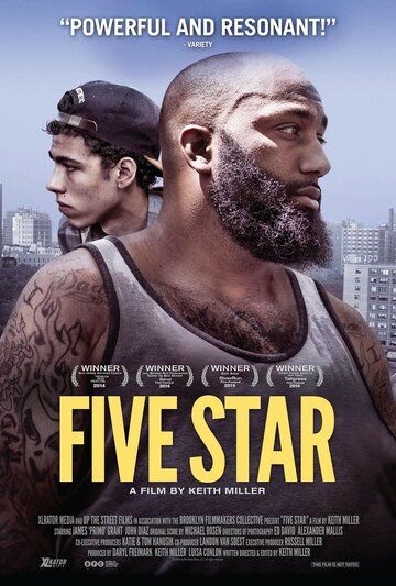 Пять звёзд фильм (2014)