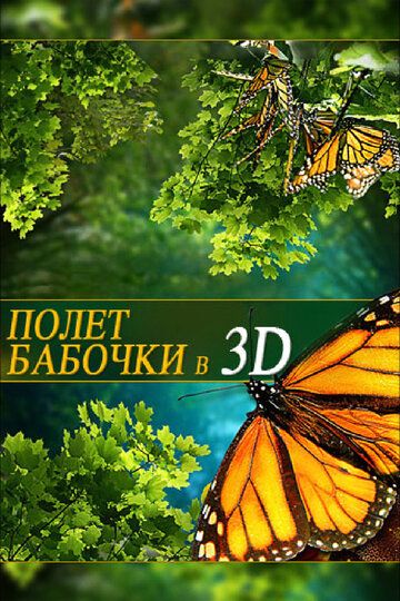 Полет бабочки 3D фильм (2012)