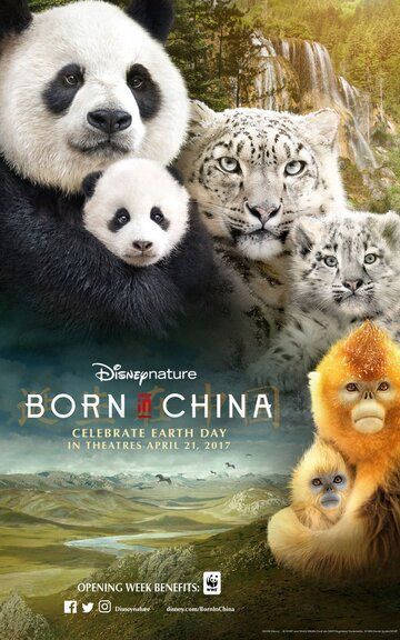 Рожденные в Китае фильм (2016)
