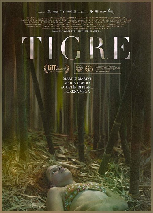 Тигр фильм (2017)