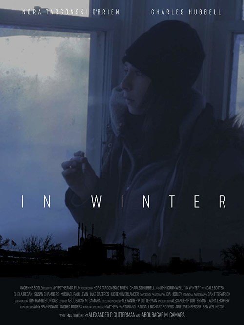Зимой фильм (2017)