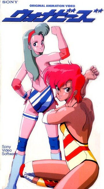 Претендентки аниме (1986)