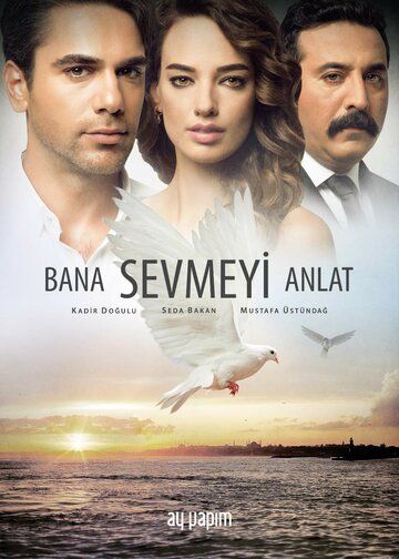 Расскажи мне, как любить турецкий сериал