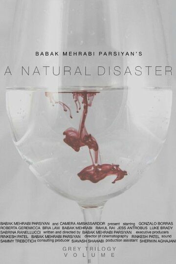 A Natural Disaster фильм (2016)