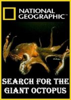 National Geographic. В поисках гигантского осьминога
