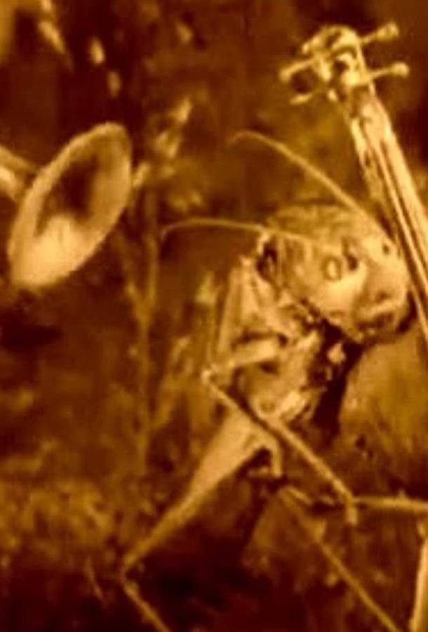 Веселые сценки из жизни животных мультфильм (1912)