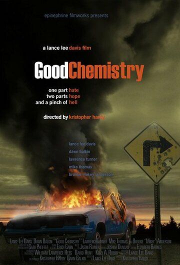 Хорошая химия фильм (2008)