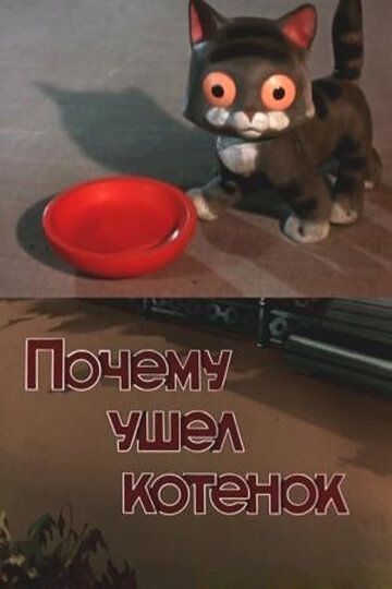 Почему ушёл котёнок мультфильм (1957)