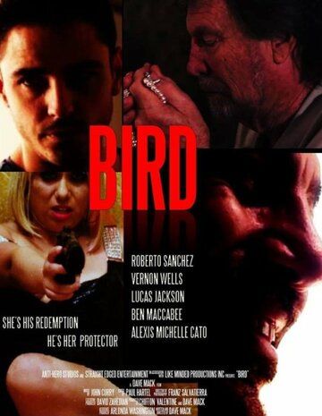 Bird фильм (2020)