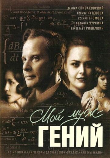 Мой муж — гений фильм (2008)
