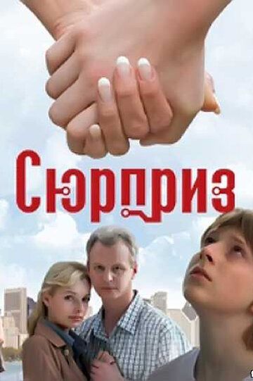 Сюрприз фильм (2008)