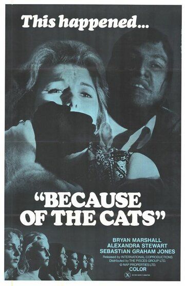 Из-за кошек фильм (1973)