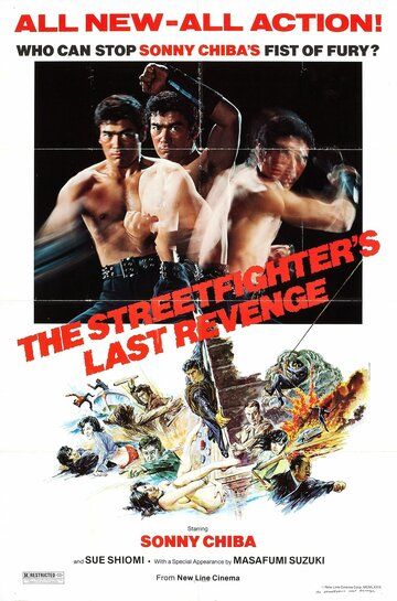 Последняя месть уличного бойца фильм (1974)