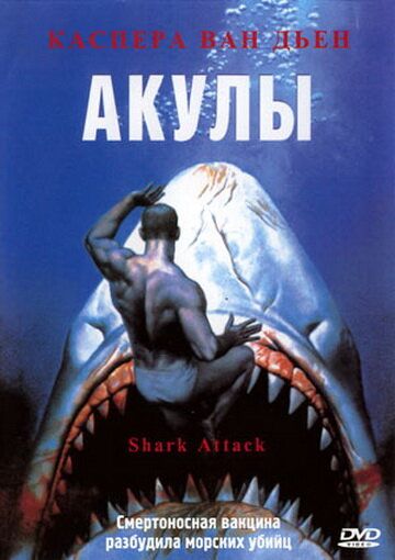 Акулы фильм (1999)