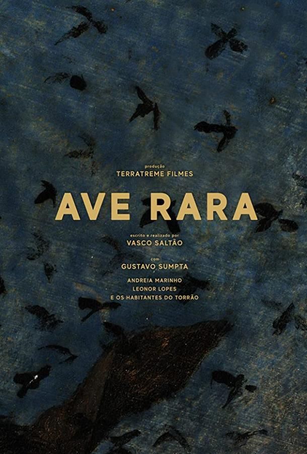 Ave Rara фильм (2019)