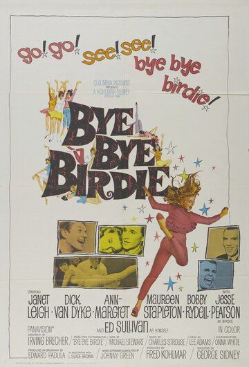 Пока, пташка фильм (1963)