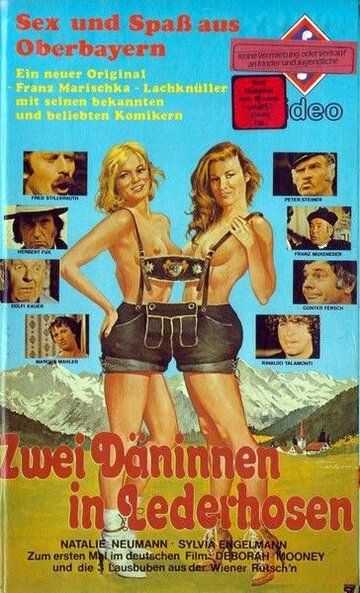 Две датчанки в кожаных штанах фильм (1979)