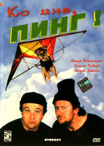 Ко мне, Пинг! фильм (2000)