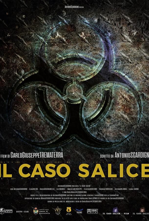Il caso Salice фильм (2020)