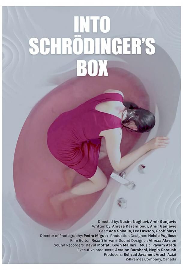 Into Schrodinger's Box фильм (2021)
