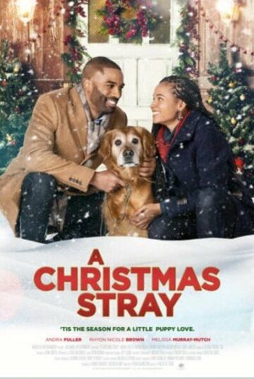 A Christmas Stray фильм (2021)