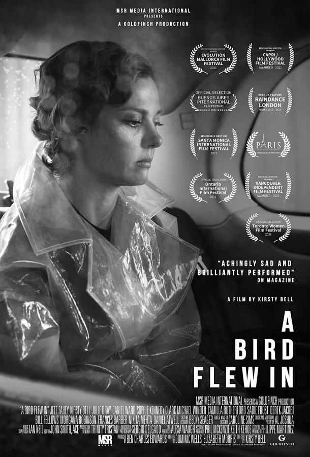 A Bird Flew In фильм (2021)