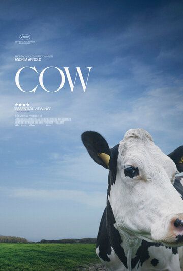 Корова фильм (2021)