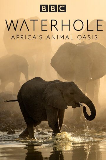 Waterhole: Africa's Animal Oasis сериал (2020)