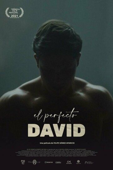 El perfecto David фильм (2021)