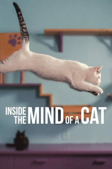 Внутри разума кошки фильм (2022)