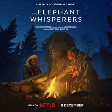 Заклинатели слонов фильм (2022)
