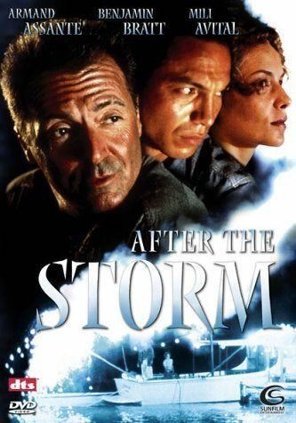 После шторма фильм (2001)
