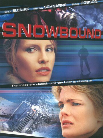 Занесенный снегом фильм (2001)
