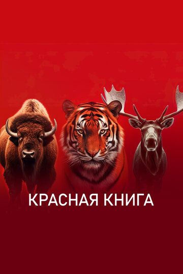 Красная книга сериал (2022)