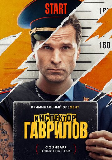 Инспектор Гаврилов сериал (2023)